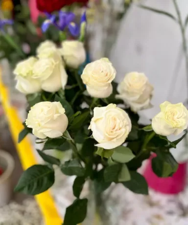 Rosas blancas