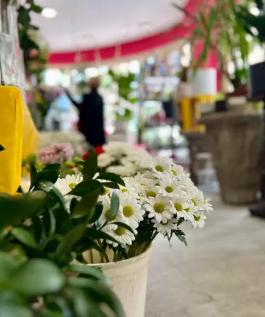 Detalle de flores blancas en una floristería