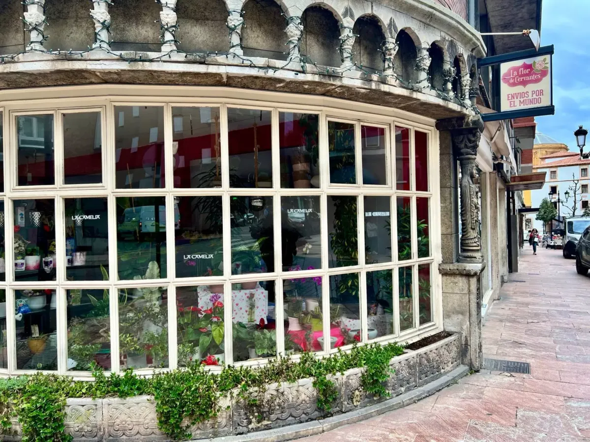 Cristalera de la floristería vista desde la calle